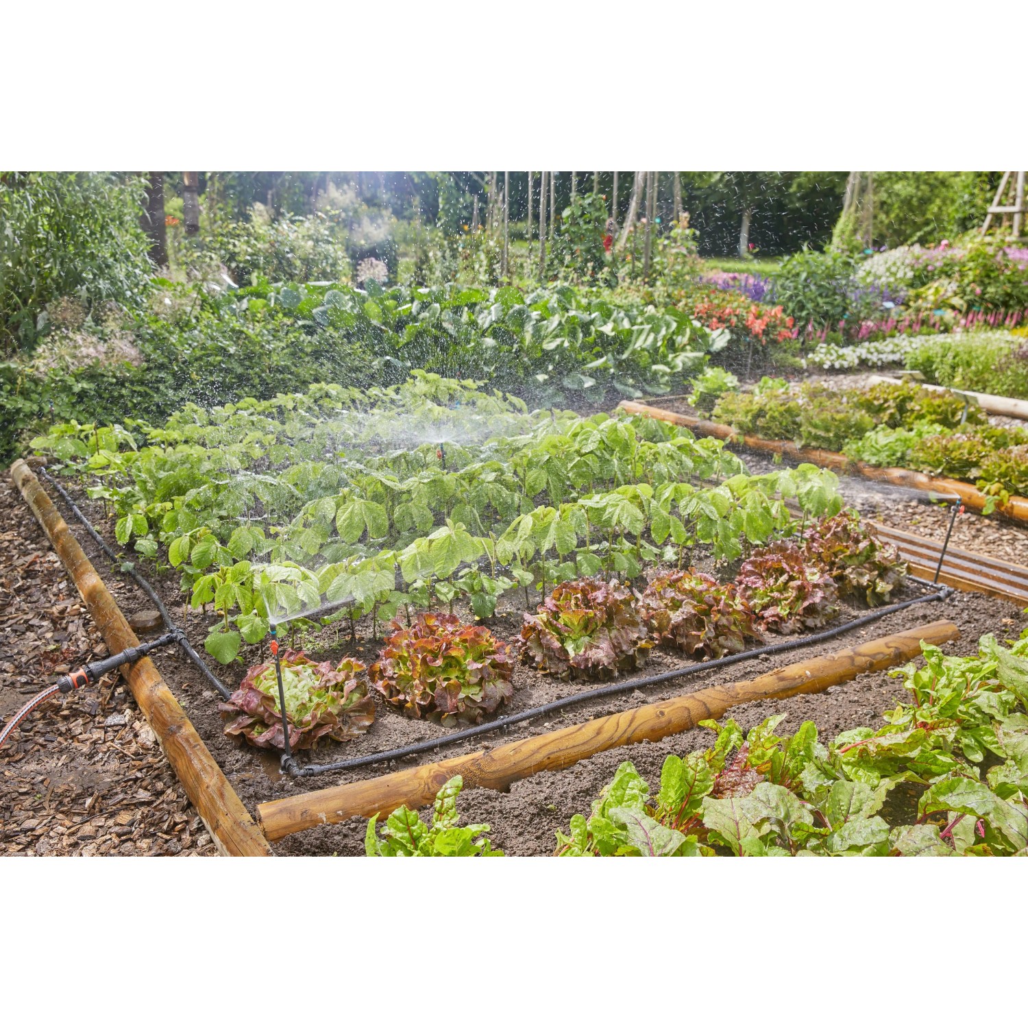Gardena Tropfbewässerung im Gemüsebeet: Bewässerungssystem für Blumen und Gemüse bis 40 m².