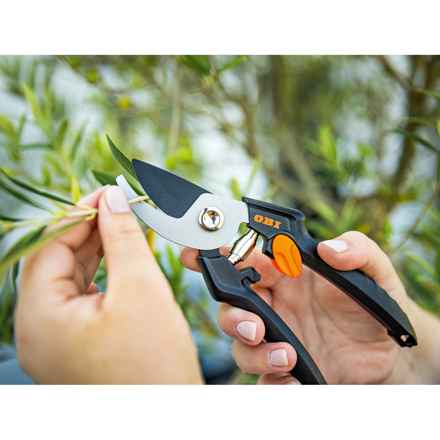 OBI Gartenschere kaufen bei OBI