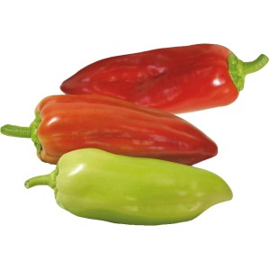 Drei rote und grüne Spitzpaprika (Capsicum annuum) der Sorte Grow by OBI im Topf.