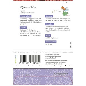 Packung Grüne Fee Rosen-Aster Jugend Blumensamen, reicht für ca. 80 Pflanzen.