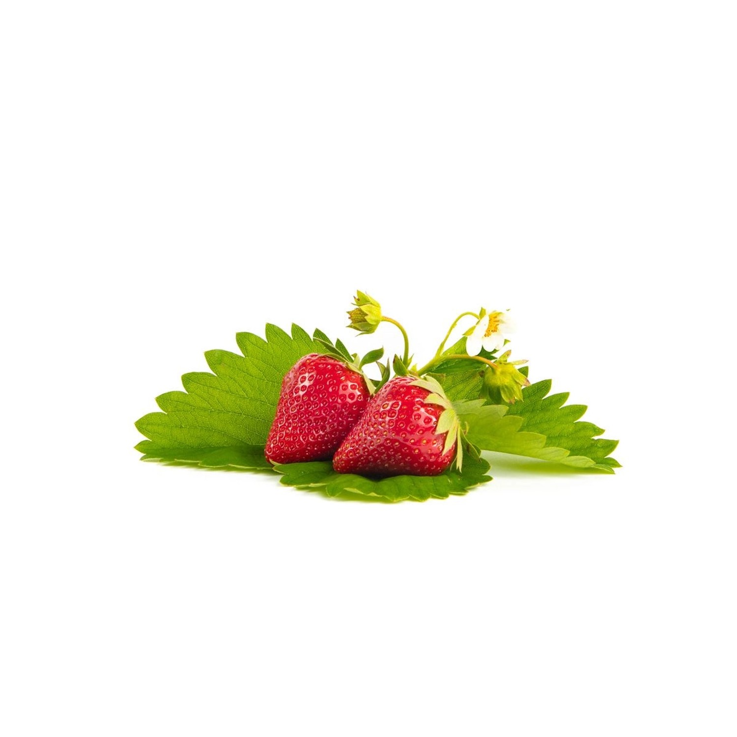 35+ Frigo Erdbeeren Kaufen, Garantiert frische und gesunde frigo