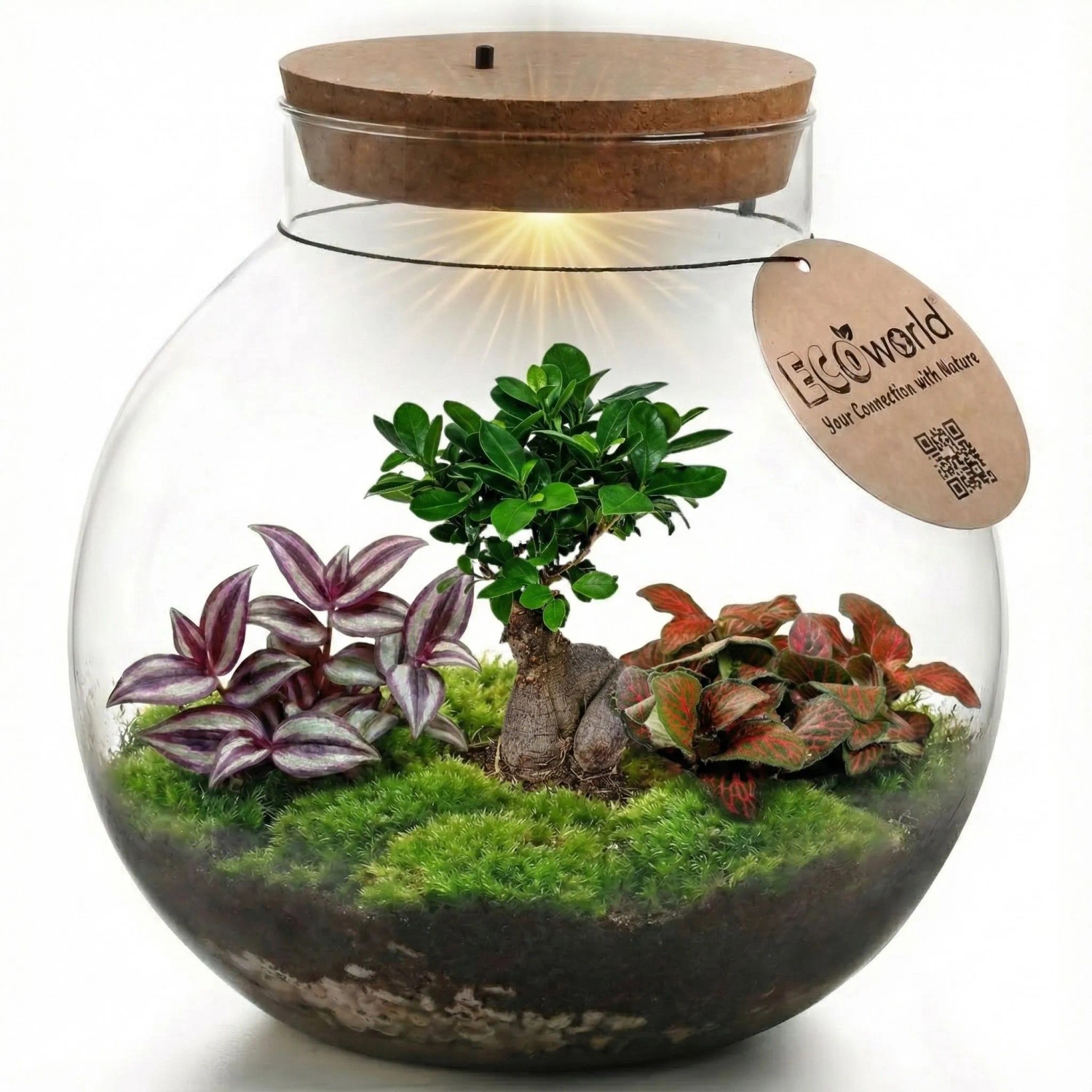 Vdvelde Bonsai Terrarium Pflanzensystem 'Biodome'   Durchmesser 25 Cm
