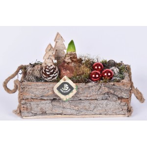 Amaryllis-Arrangement im Holzgefäß Topf-Ø ca. 26 cm Hippeastrum