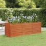Rechteckiges, rostfarbenes Hochbeet aus Cortenstahl (240x80x77 cm) mit blühenden Pflanzen im Garten.