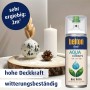 Belton Free AQUAcolours Buntlack Reinweiß matt, RAL 9010, 400ml Dose. Dekoration mit Farbbeispiel.