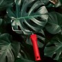 Schöner Wohnen Trendfarbe Jungle, matte Wandfarbe mit Farbroller und tropischen Blättern.