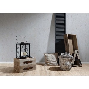 A.S. Creation Vliestapete Metropolitan Paul Bergmann Berlin Beton Grau-Beige im Wohnraum.