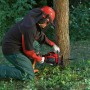 Mann arbeitet mit der roten Einhell Benzin-Kettensäge GC-PC 1435 I TC Kit an einem Baum.