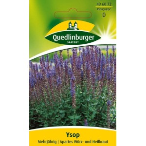Packung Quedlinburger Ysop Blumensamen mit tiefblauen Blüten, geeignet für den Freilandanbau.