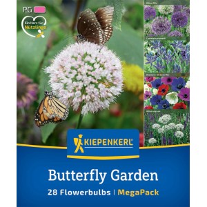 Kiepenkerl Blumenzwiebel Mega Pack Butterfly Garden, 28 Stück, mit Schmetterlingen auf den Blüten.