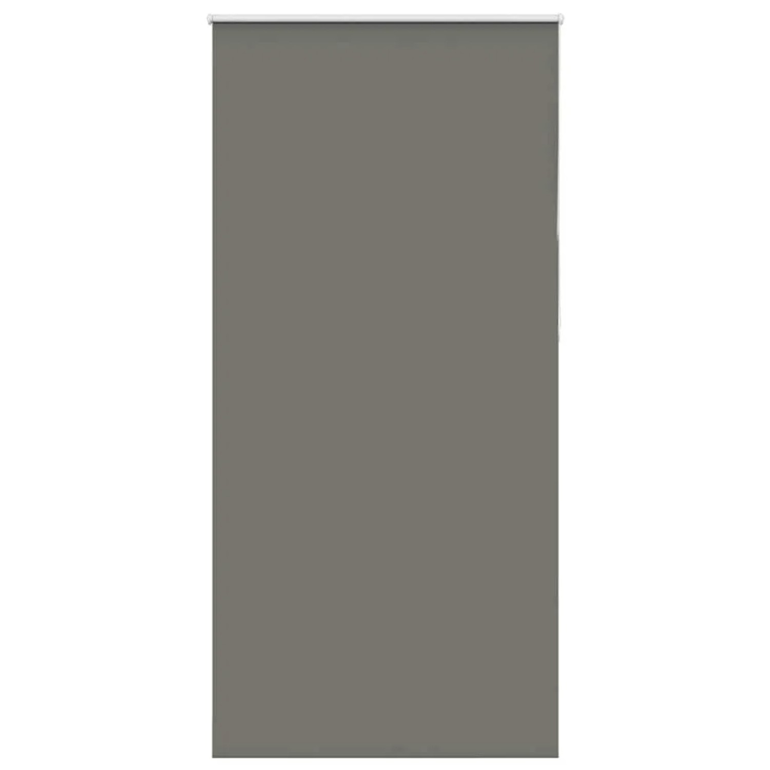 vidaXL Verdunkelungsrollo Grau 90x210 cm Stoffbreite 85,7 cm Polyester 4011 günstig online kaufen
