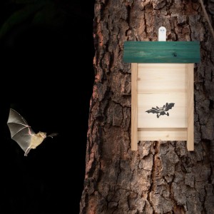 Fledermauskasten aus Naturholz mit dunkelgrünem Dach und Fledermaus-Silhouette am Baum. Eine Fledermaus fliegt nachts.