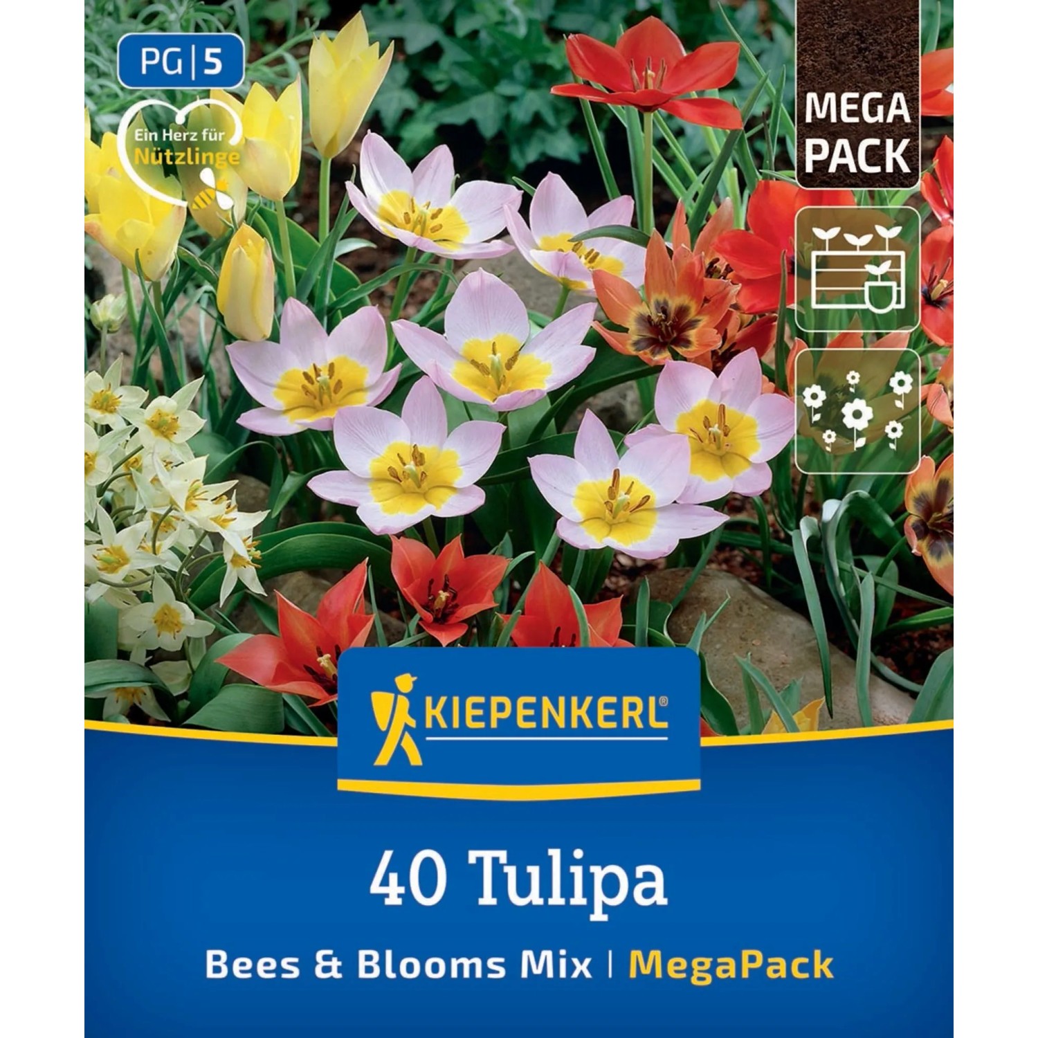 Kiepenkerl Blumenzwiebel Mega Pack Bees & Blooms 40 Stück