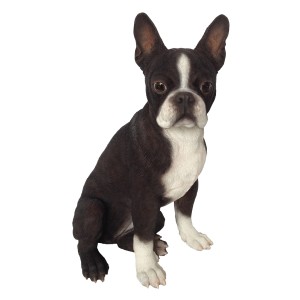 Deko-Figur: Sitzender Boston Terrier Hund, 41 cm, für die Gartendekoration.