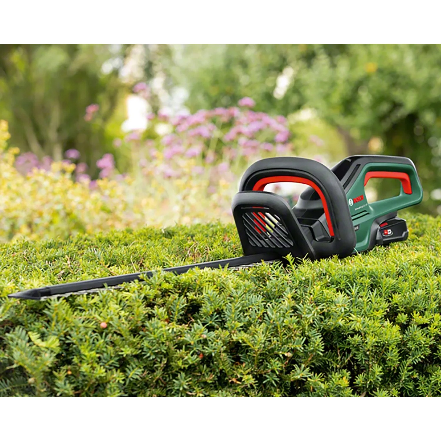 Bosch Akku-Heckenschere Universal Hedge Cut 18-55 im Einsatz auf einer Hecke.