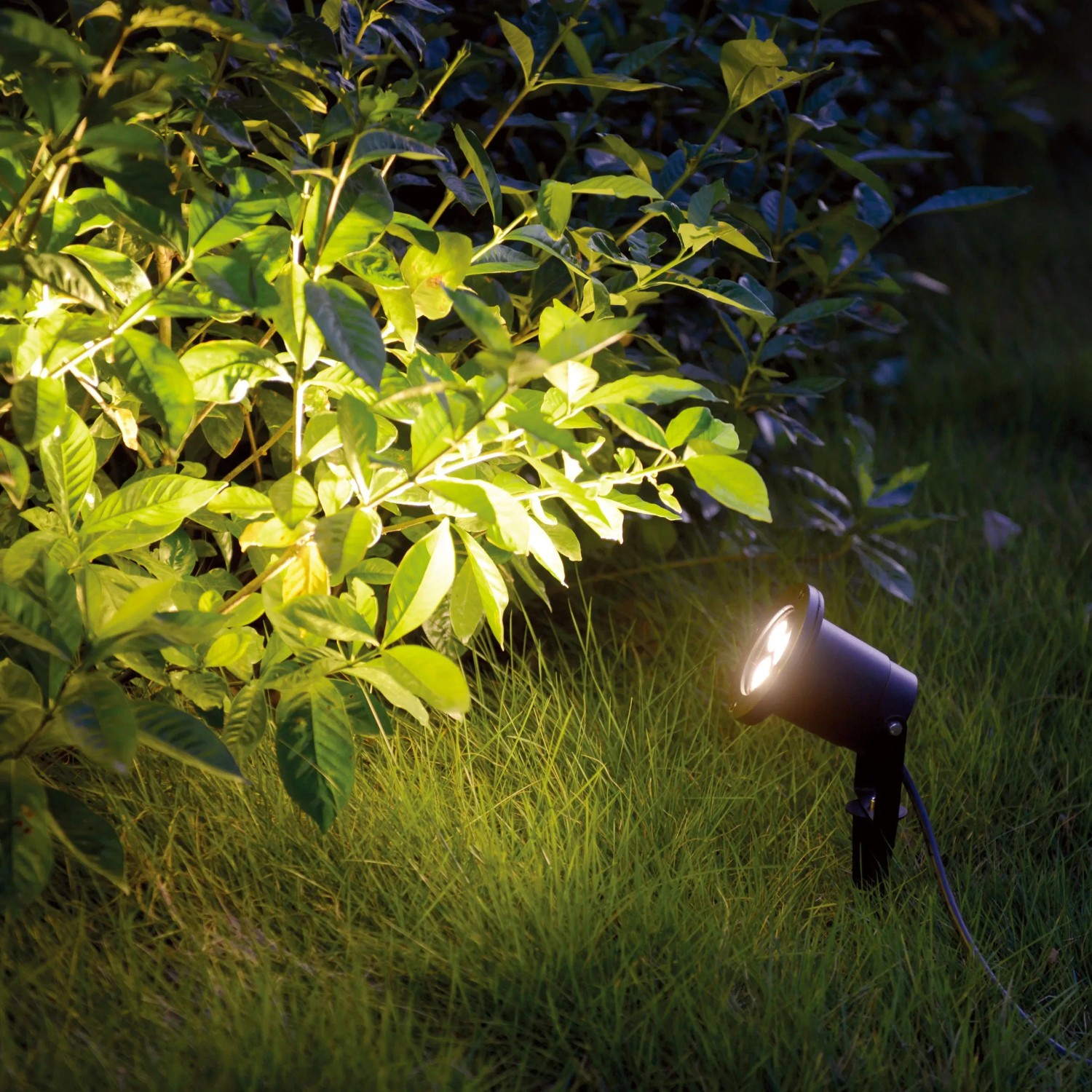 Schwarzer LED's Work Gartenstrahler mit Erdspieß beleuchtet einen Busch im Garten.