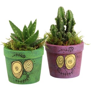 Sukkulenten-Arrangement in Halloween-Töpfen mit Aloe und Säulenkaktus, Topf-Ø 9cm.