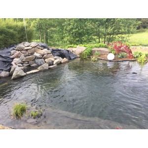 Gartenteich mit schwarzer Aquagart PVC Teichfolie, Steinen und Bepflanzung.