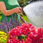 Frau bewässert Blumen mit Gardena Bewässerungsbrause. Gartenspritze im Einsatz.