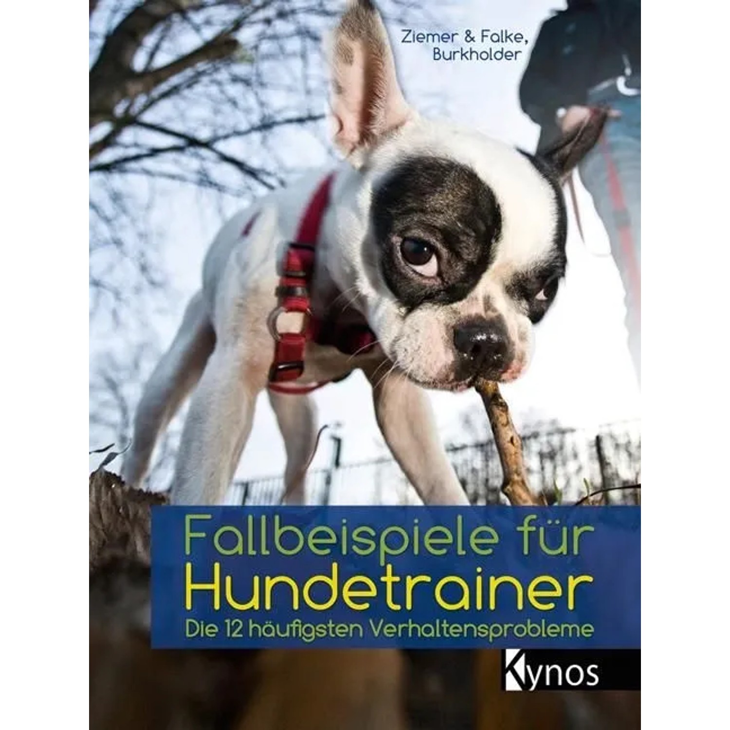 Thumbnail - Fallbeispiele für Hundetrainer