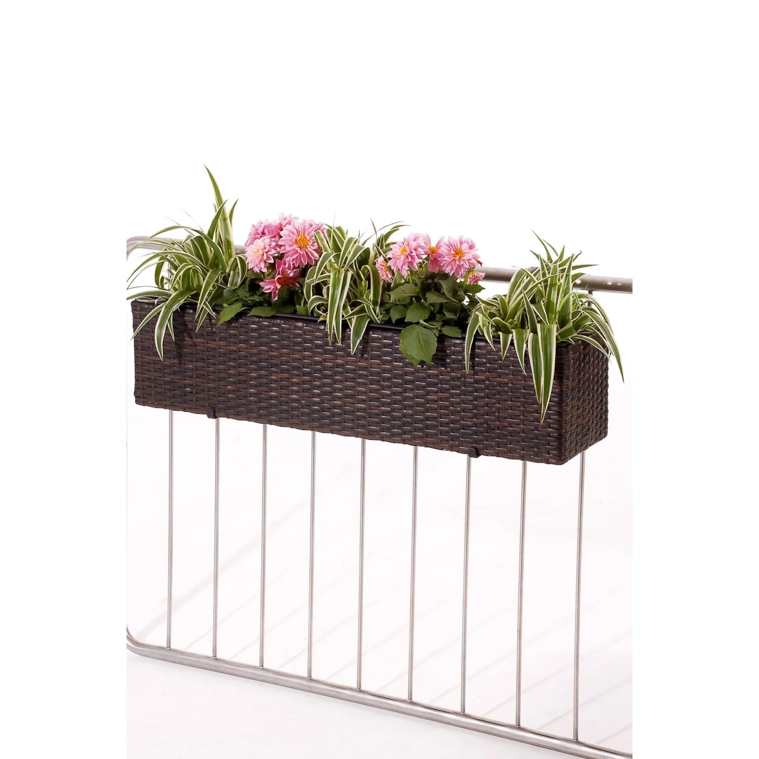 Brauner Vivanno Blumenkasten Balkoni 80 cm mit rosa Blumen auf einem Balkongeländer.