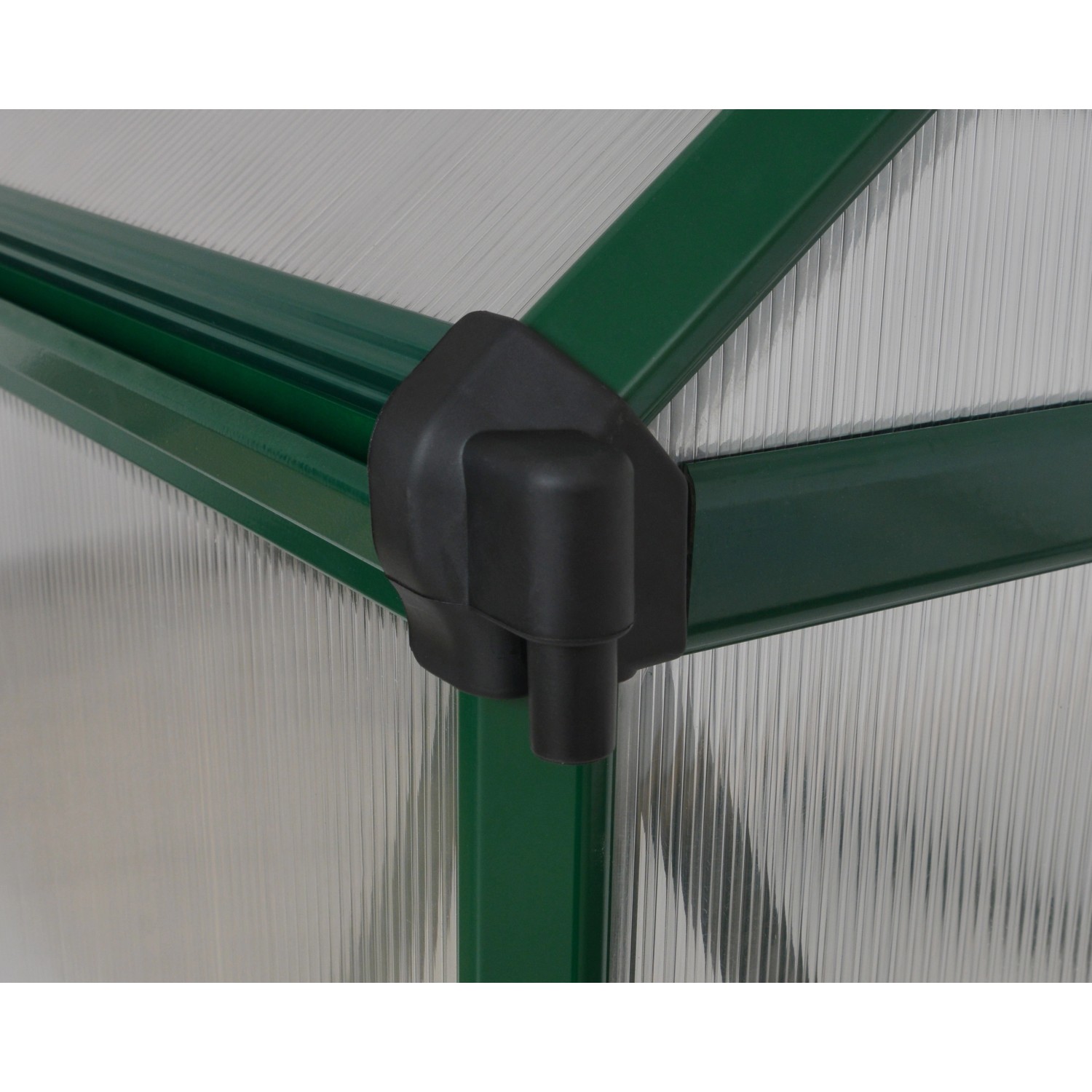 Detailaufnahme: Grüne Ecke und transparente Wand des CANOPIA Gewächshaus Mythos.