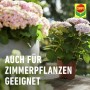 Compo Universal-Blumendünger für Zimmerpflanzen, Balkon- und Terrassenpflanzen.