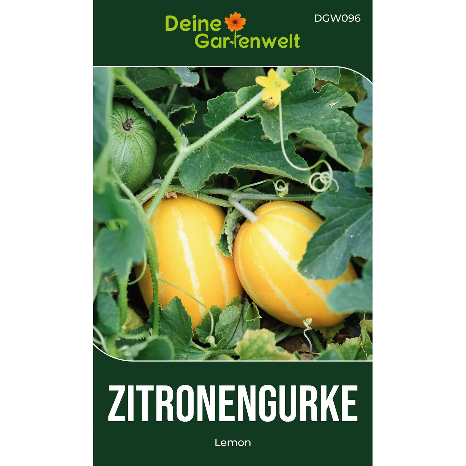 Deine Gartenwelt Zitronengurke Lemon Samen