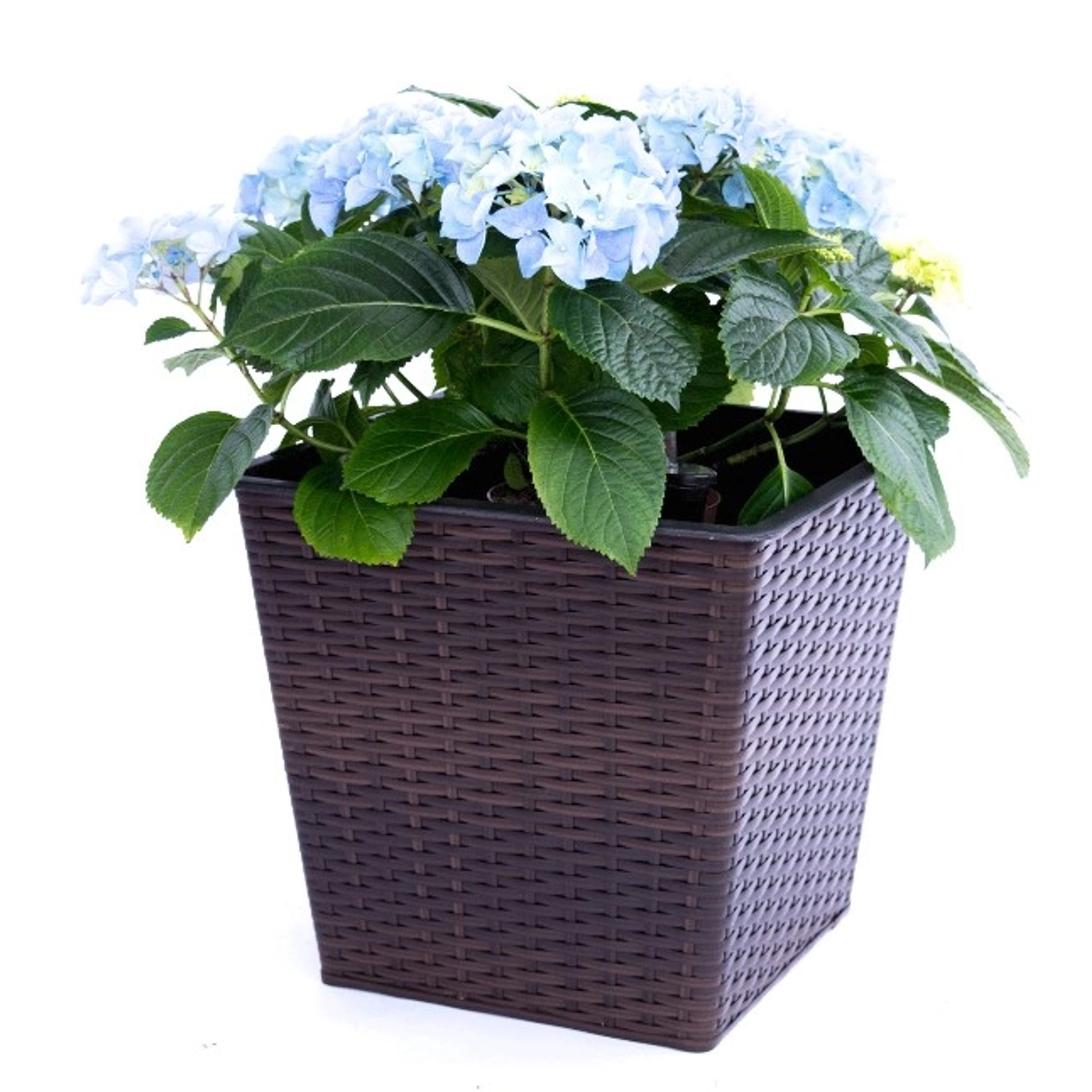 Elegant Einrichten Pflanzkübel Quadratisch-Konisch Polyrattan 26x26x24cm Co günstig online kaufen