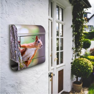 Edelstahl Briefkasten mit Eichhörnchen Motiv und Zeitungsfach. Rostfreier Wandbriefkasten.