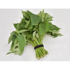 Pflanzenbinder, 5 m, mit Klettverschluss zum einfachen Anbinden von Pflanzen im Garten.