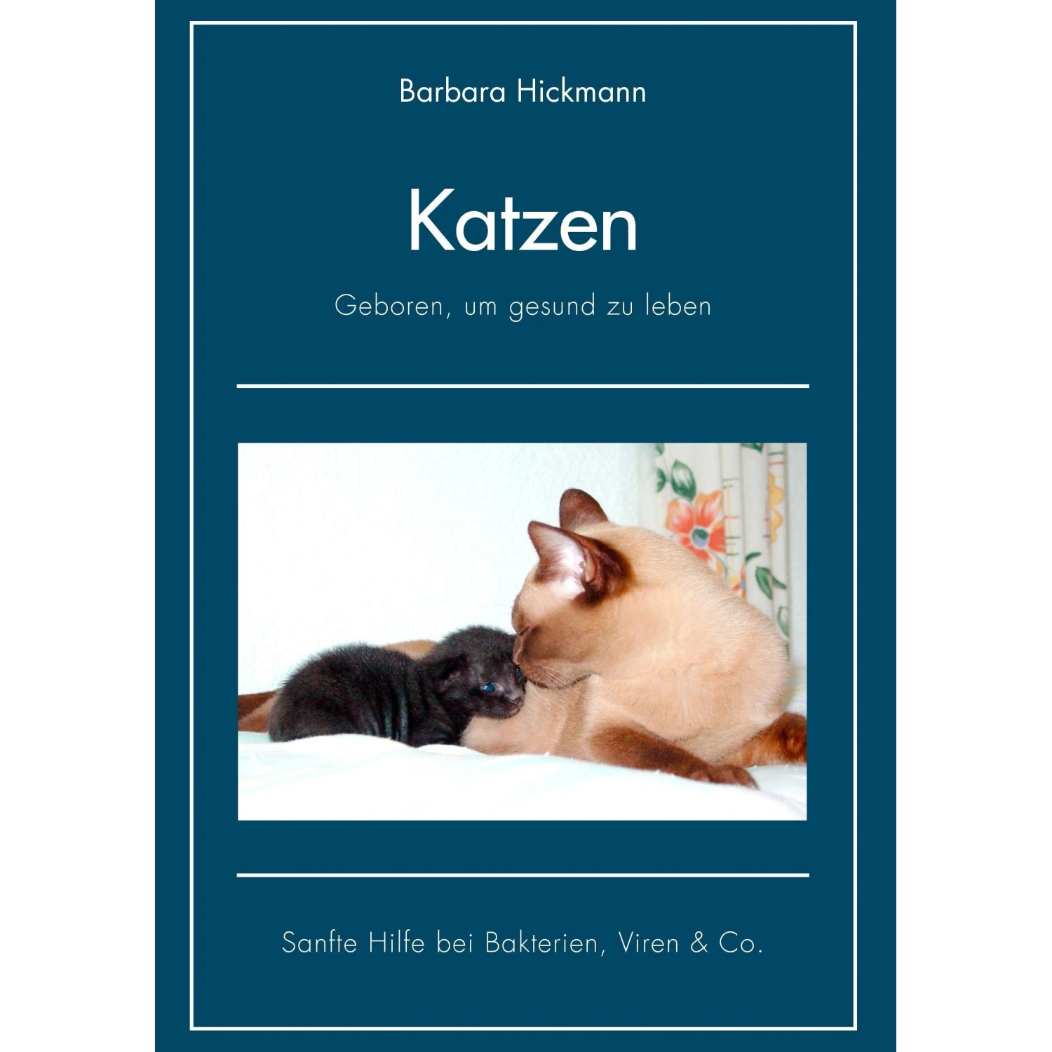Katzen - geboren, um gesund zu,eben