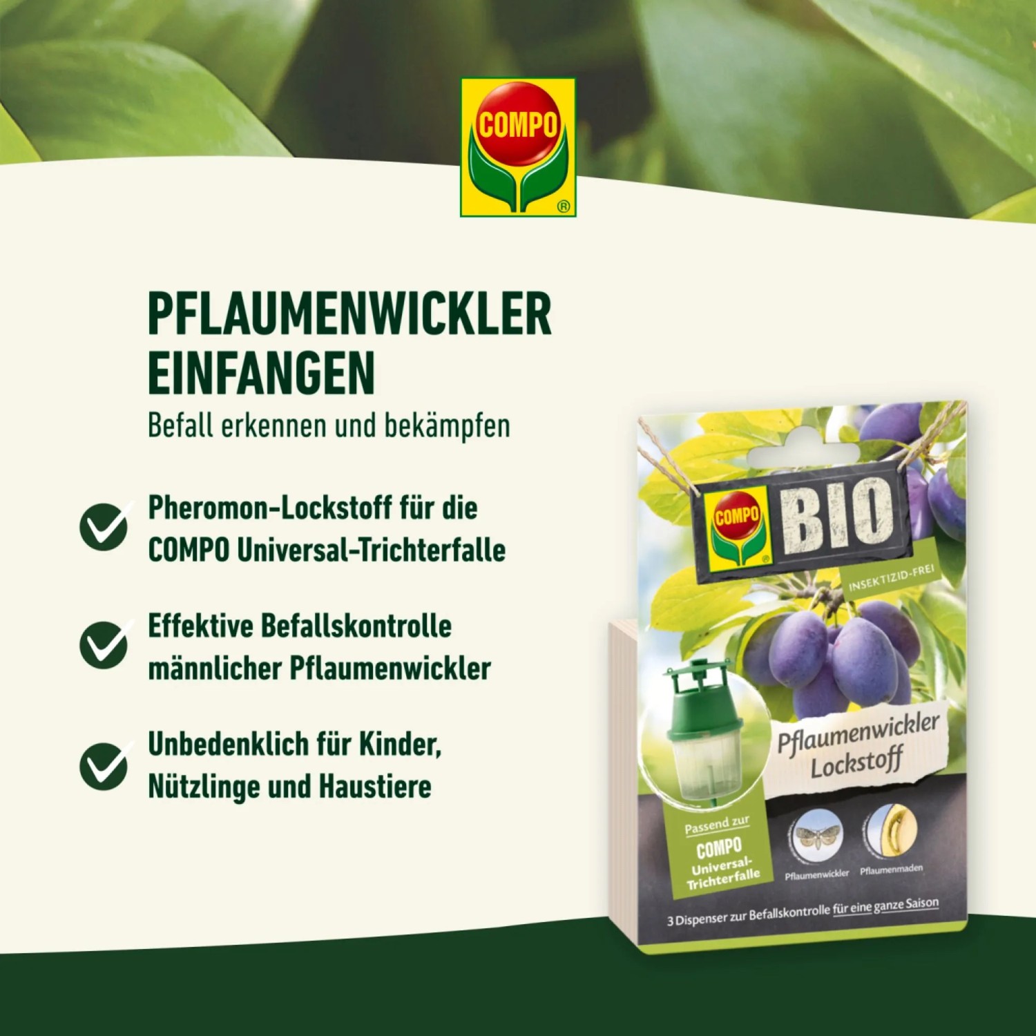 Compo BIO Pflaumenwickler Lockstoff, 3er-Pack für die Universal-Trichterfalle zur Schädlingsbekämpfung.
