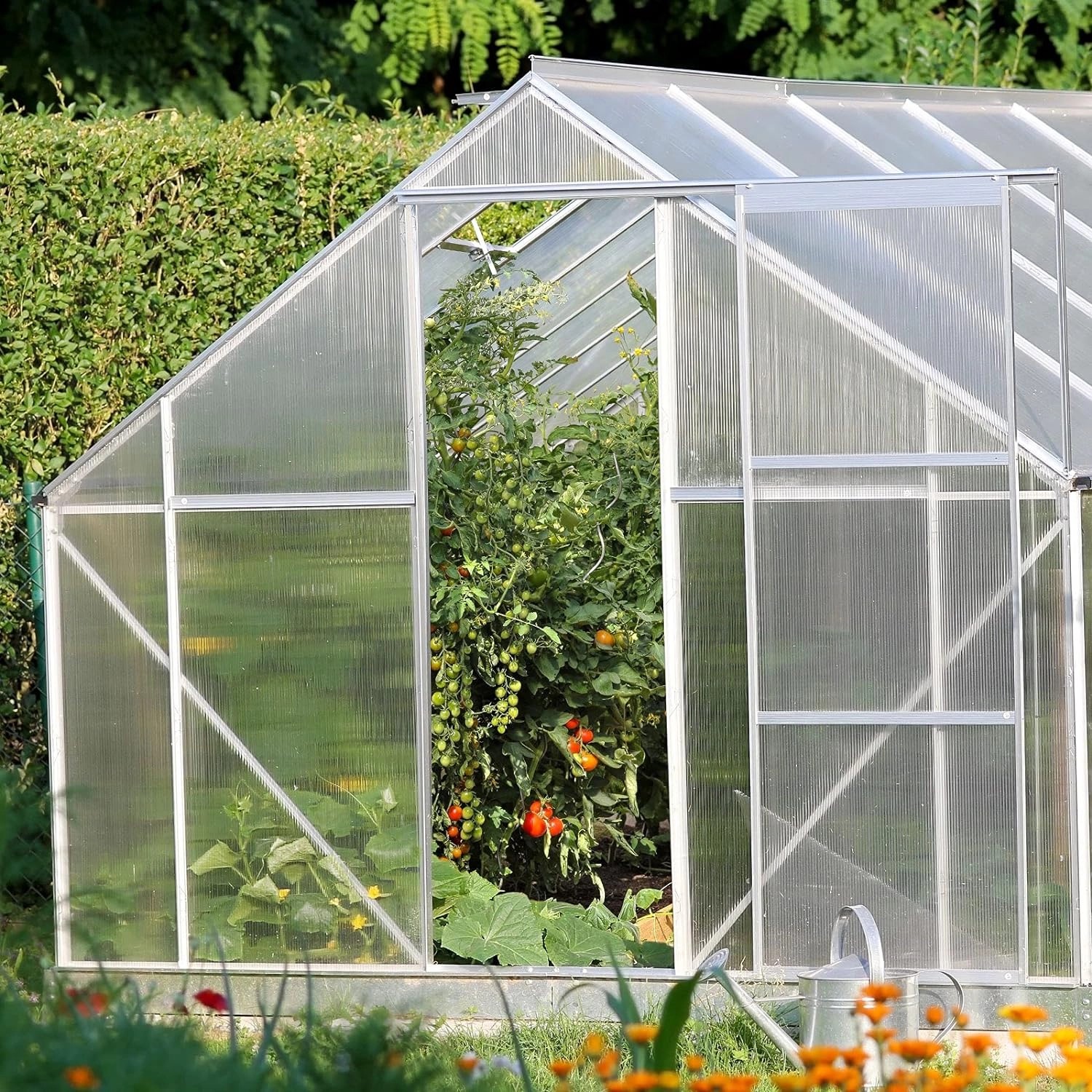 Transparentes Gewächshaus mit KARAT Doppelstegplatten aus Polycarbonat, 6 mm stark.