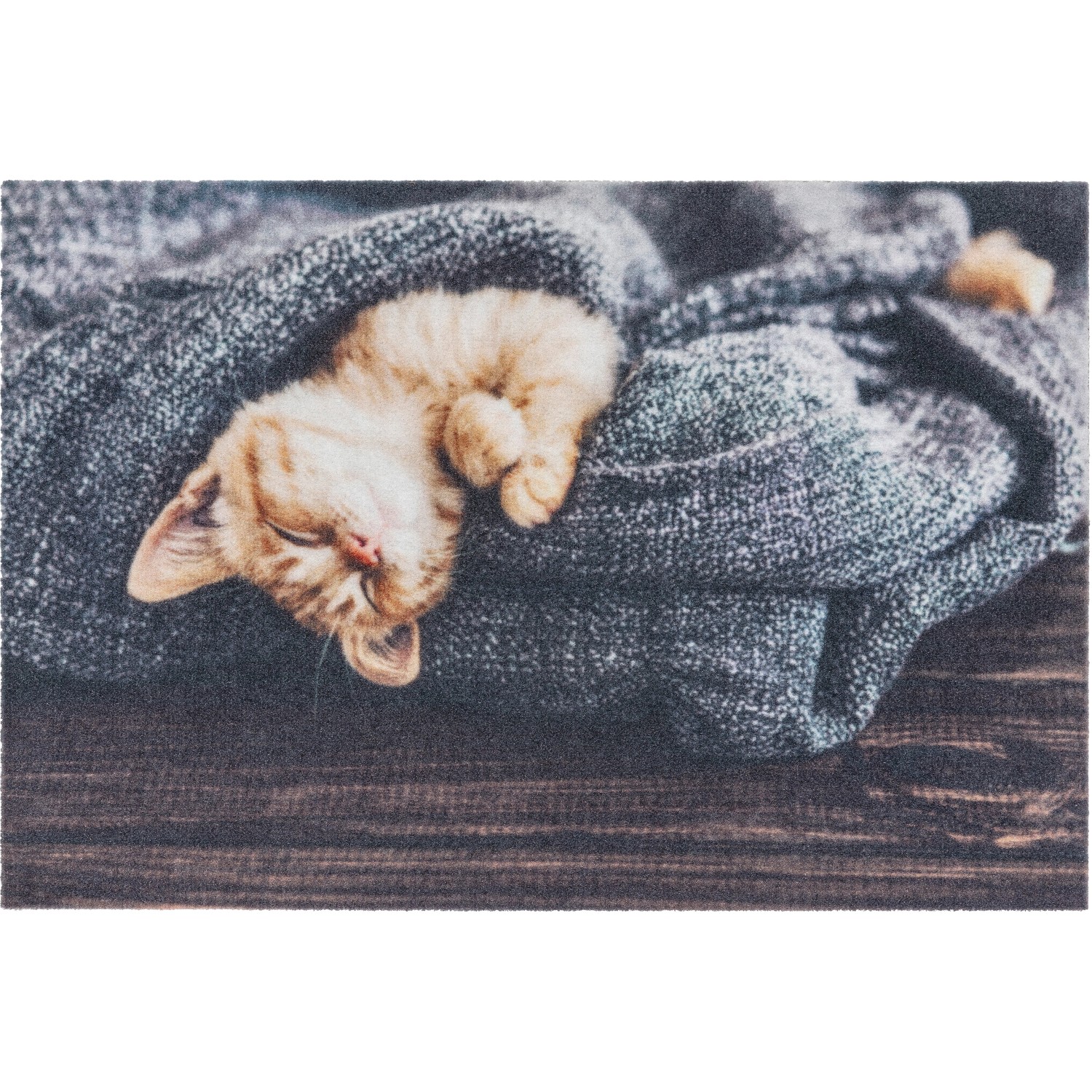 Astra Sauberlaufmatte Deco Print 40 x 60 cm Katze Decke