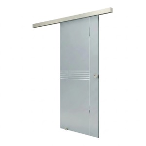 Doorlegro Glasschiebetür Curve 900 mm x 2.175 mm Silber
