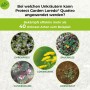 Protect Garden Loredo Quattro: Bild zeigt Beispiele bekämpfter Unkräuter wie Ehrenpreis, Löwenzahn, Sauerklee, Gundermann und Hornkraut.