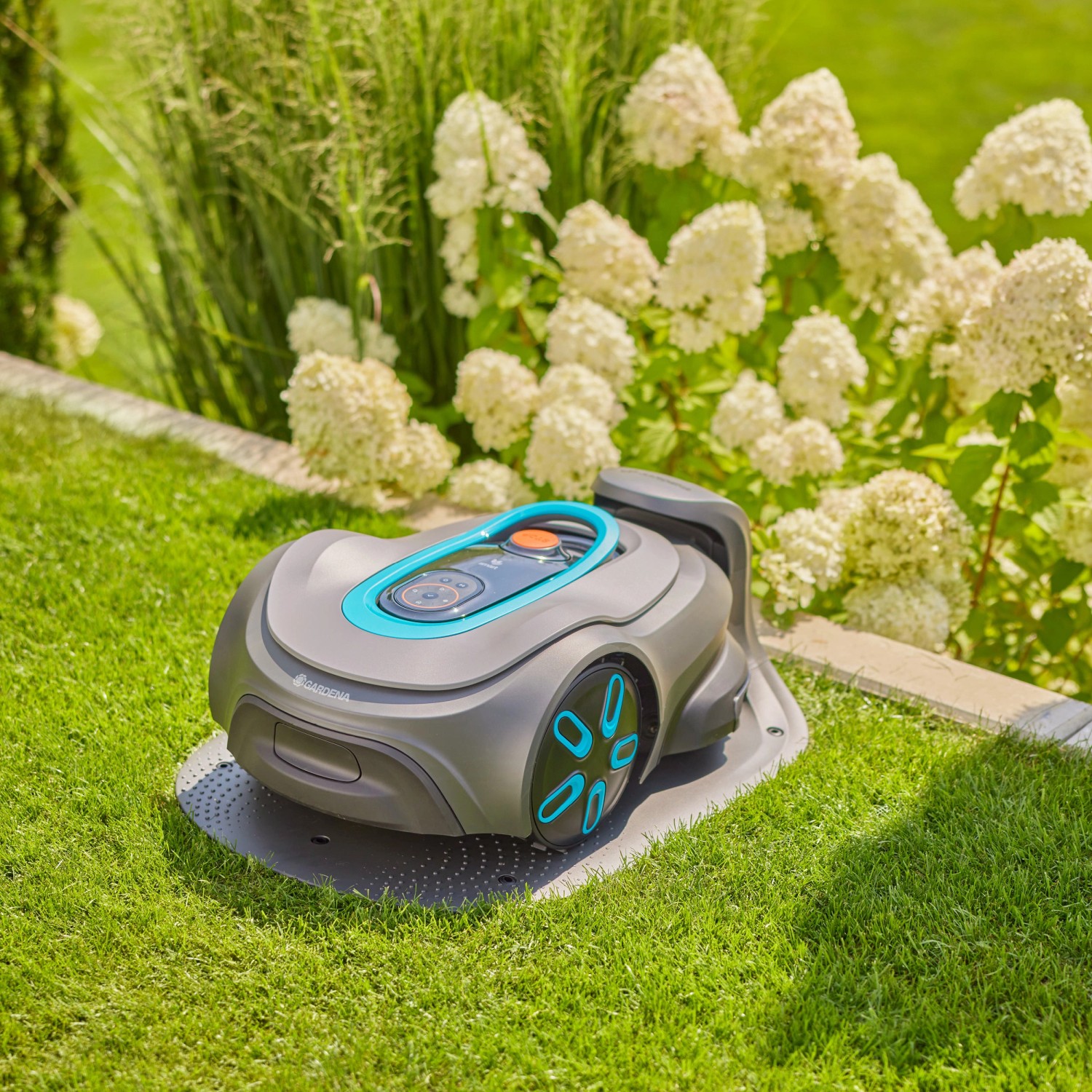 Gardena Smart Sileno Max Mähroboter auf Rasen vor blühenden Büschen. Rasenmäher mit App-Steuerung.