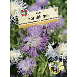 Sperli Kornblume "Aloha", lila-creme Blüten, Nahrungsquelle für Insekten.