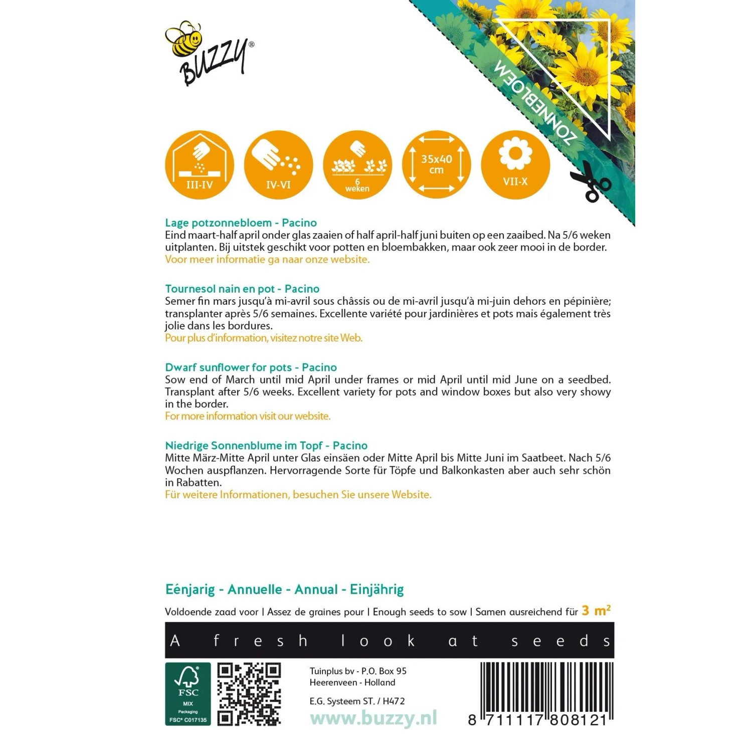 Sonnenblume 'Pacino Gold' Buzzy Sunny Flowers Samen Circa 0,75 g Kompakt Wachsend_2