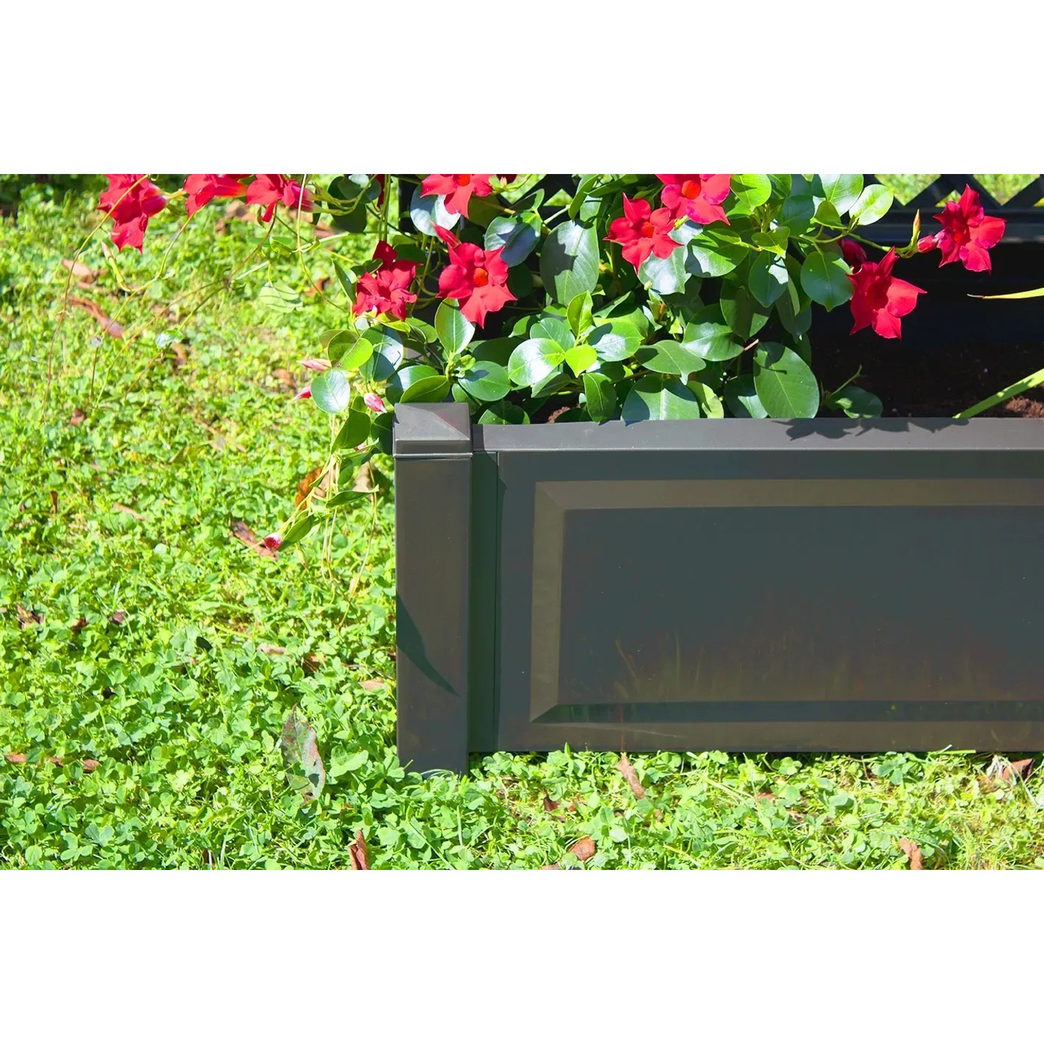 Anthrazitfarbener KHW Pflanzkasten mit Spalier und roten Blüten im Garten.