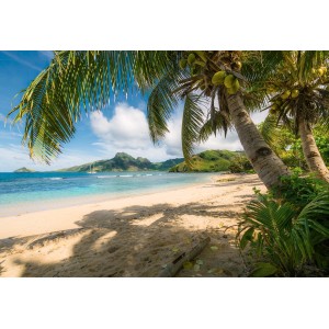 Komar Fototapete Castaway: Tropischer Strand mit Palmen und blauem Meer.