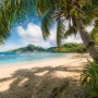 Komar Fototapete Castaway: Tropischer Strand mit Palmen und blauem Meer.