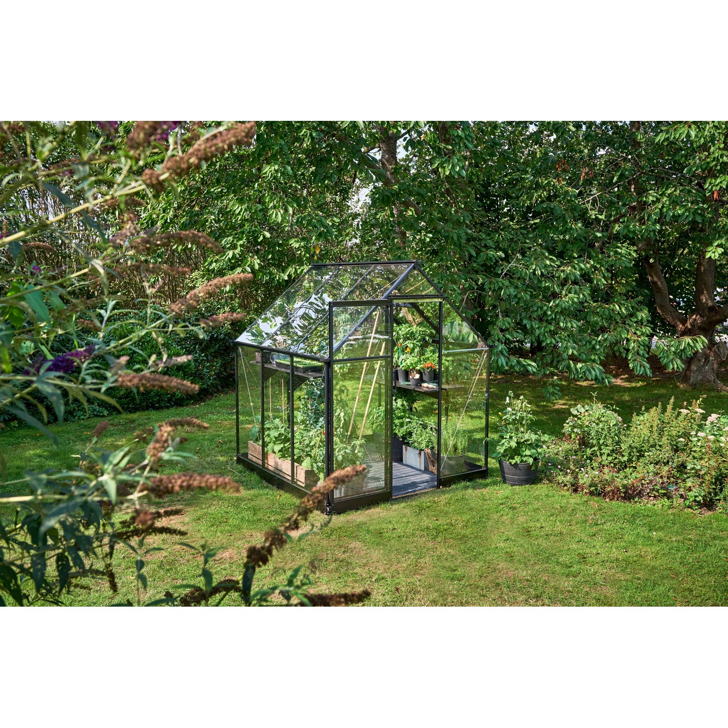 Schwarzes Halls Gewächshaus Qube 66 (3,9 m²) im Garten mit Pflanzen.