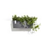 Grauer Ecopots Hängetopf Bruges mit Efeu, 55x20x21 cm, zur Balkonaufhängung.