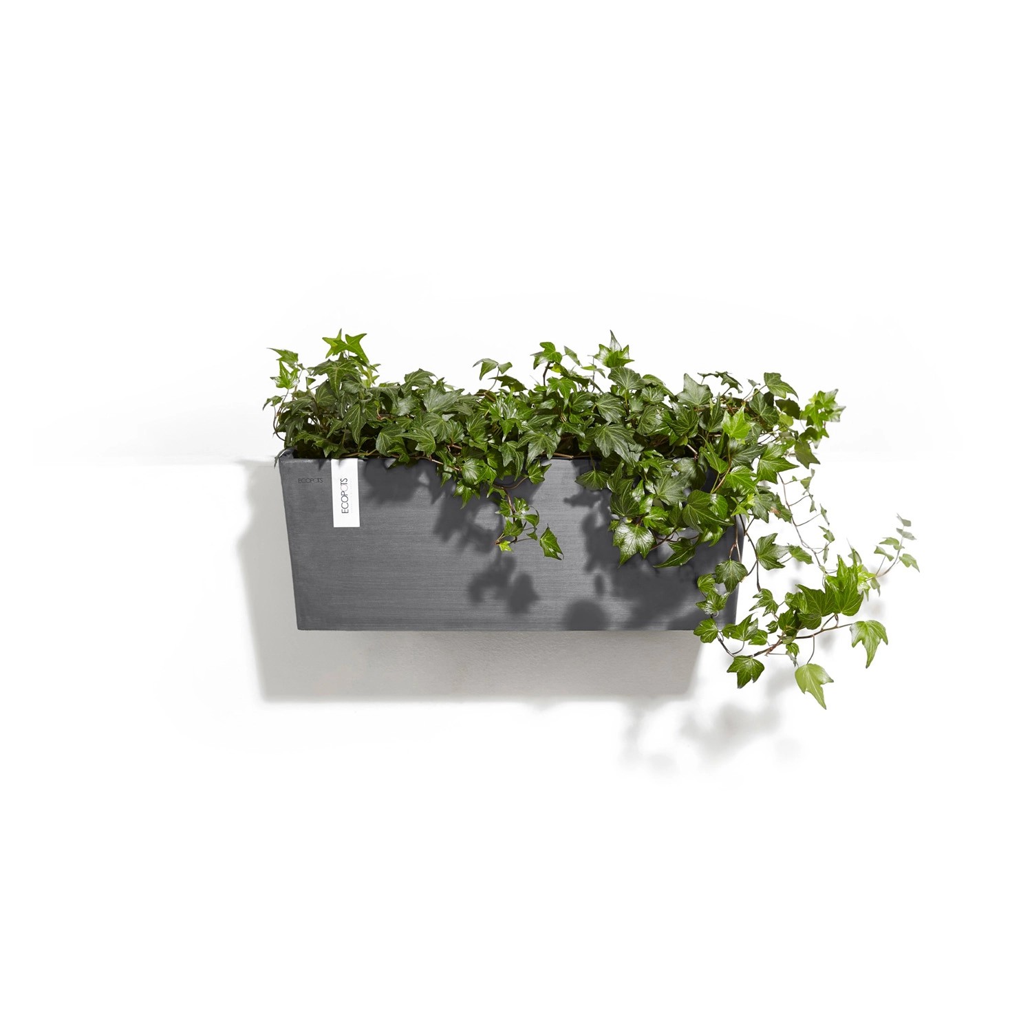 Grauer Ecopots Hängetopf Bruges mit Efeu, 55x20x21 cm, zur Balkonaufhängung.