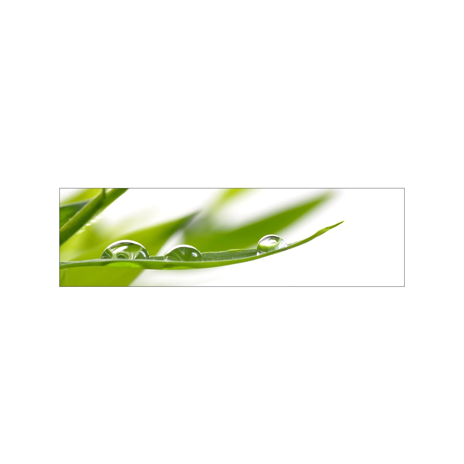 MySpotti Küchenrückwand Profix Cucina Dew Drop 210 x 60 cm Grün-Weiß