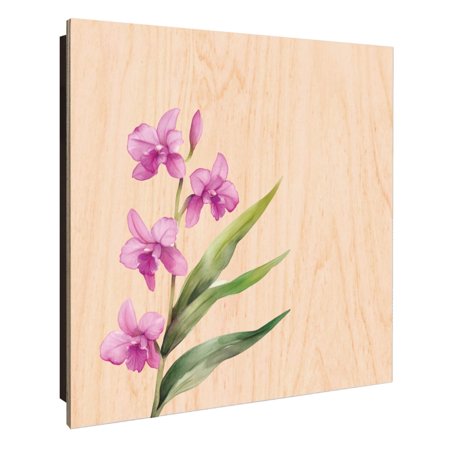 Banjado Großer Schlüsselkasten Holz 30x30cm Schwarz Scharnier Links 50 Hake günstig online kaufen