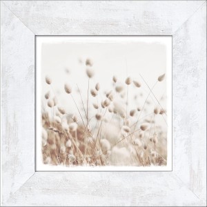 Pro Art Bild 'Dried Fiber In The Wind II', 44x44 cm, mit weißem Rahmen. Natur-Motiv im Scandi-Stil.