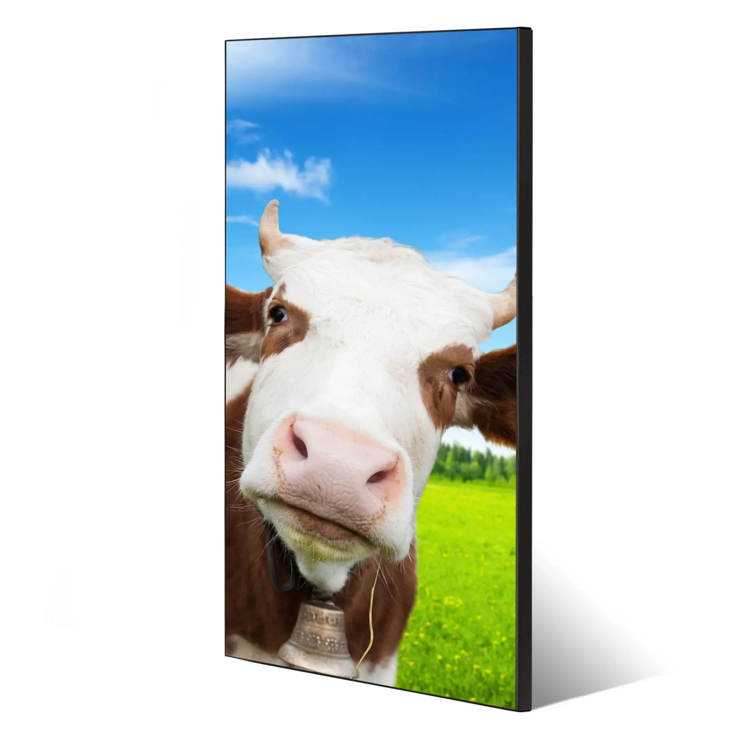 Banjado Magnettafel mit Kuh-Motiv, 37x78cm. Schwarze Magnetwand aus Metall inklusive 4 Magnete.